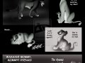 azras_wish_8_by_savu0211-d32yos7.jpg